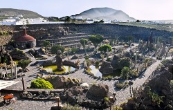 Lanzarote Cactus Garden